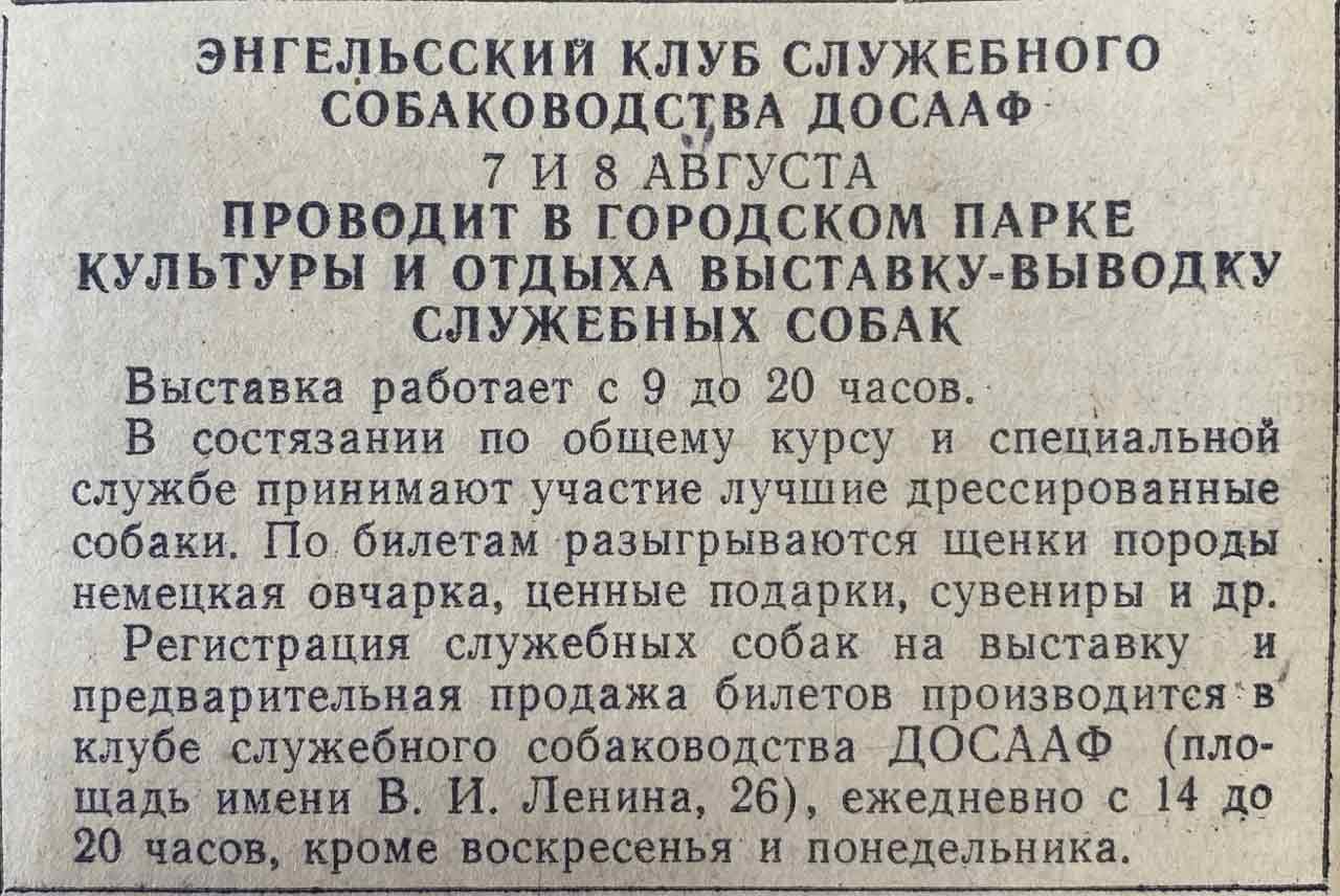 Верные помощники